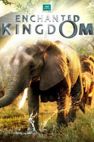 Reino Encantado / Enchanted Kingdom