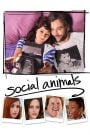 Amor y Disfunción / Social Animals