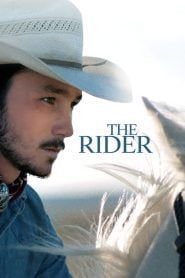 El jinete / The Rider