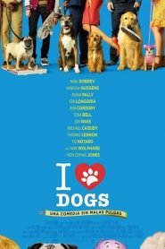 I Love Dogs / Dog Days