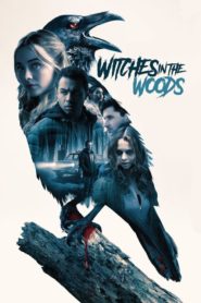 La noche de la bruja (Witches in the Woods)