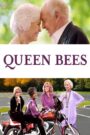 El club de las abejas reina (Queen Bees)