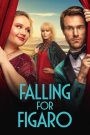 Un romance con Fígaro (Falling for Figaro)
