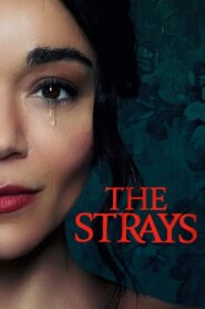 Los extraños (The Strays)